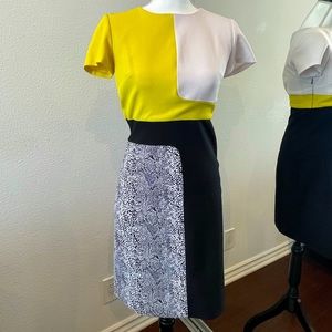 Colorblock Chetta B Dress